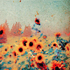 1400.gif